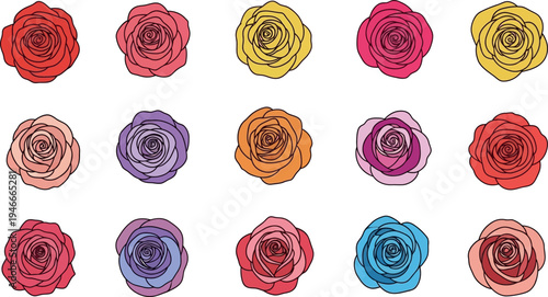 Fifteen colorful rose arranged in three rows flower pink yellow