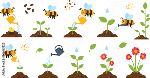 Plant Growth and Bee Pollination Vector Set with Watering Can, Seeds, Sprouts, Flowers and Gardening Process Nature Illustration Collection