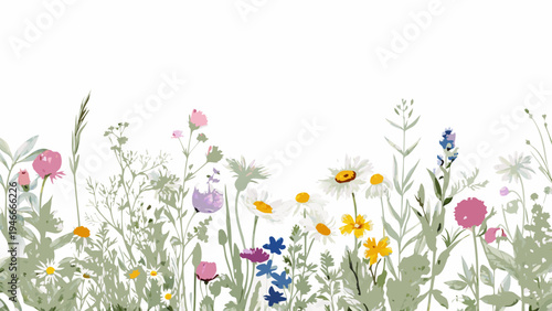 A delicate arrangement of wildflowers and foliage against a white background