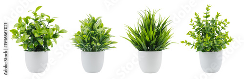 Artificial plants in flower pots isolated on white. Set or collection