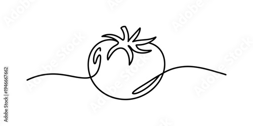 Continuous line drawing of a single tomato with a stem on a white background. Vector, illustration