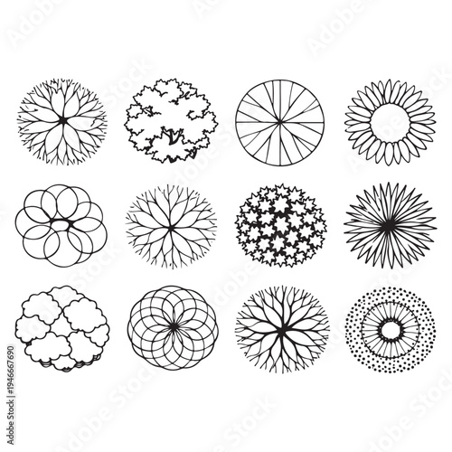 CAD Trees Top View Set – Landscape Design and Architectural Elements