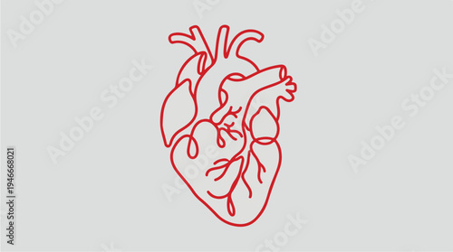 Minimalist Red Line Art Human Heart Illustration.