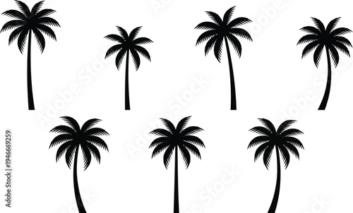 Black silhouettes of palm trees on white background vector graphic illustration