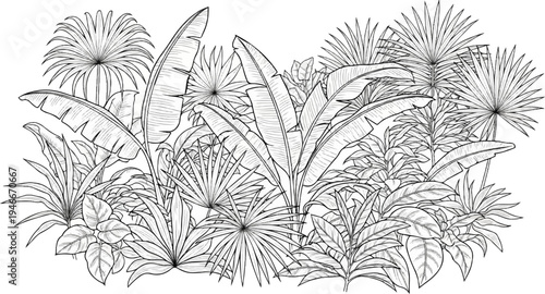 An artistic black and white illustration depicts a dense arrangement of tropical foliage and palm fronds