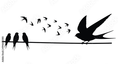 Silhouette of birds on a branch with some flying around  serene natural scene