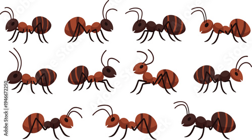 Cartoon Ant Insect Character Collection with Different Crawling Poses in Nature Wildlife Style for Biology Education, Pest Illustration and Entomology Designs.