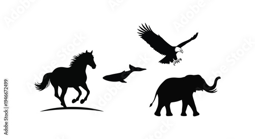 Silhouettes of horse eagle dolphin and elephant on white background