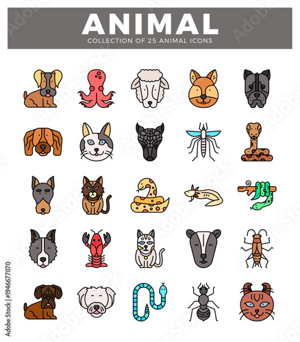flat animal icons on a white background with a grey header.
