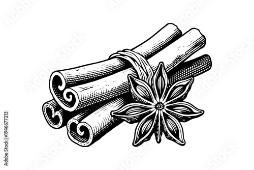 Hand-drawn cinnamon sticks tied with a string and star anise flower on a white background, representing spice, flavor, and culinary art