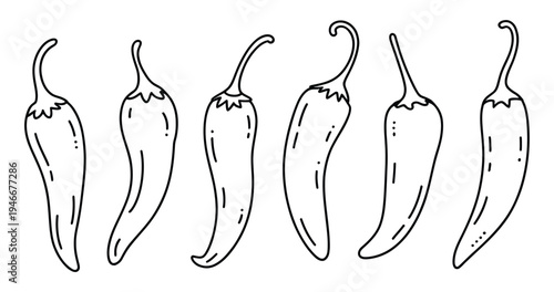 Habanero chili vector line art for hot peppers design, simple outline illustration representing spicy food, cooking ingredients