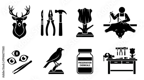 Taxidermy Icons Vector – Preservation Tools, Mounted Specimens, Workshop Craft Graphic