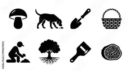 Taxidermy Icons Vector – Preservation Tools, Mounted Specimens, Workshop Craft Graphic