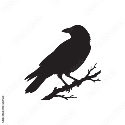 Silhouette of a lone black crow perched calmly upon a barren, angular tree branch illustration