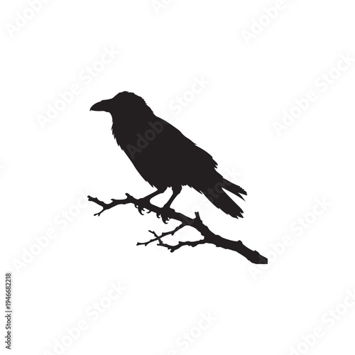 Silhouette of a solitary black raven perched upon a bare tree branch against a white background