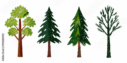 Illustration of four different trees with varying foliage and shapes