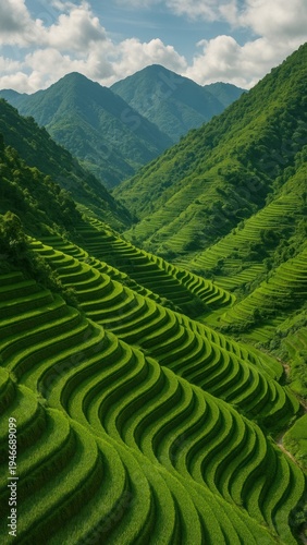 Lush terraced hills under sky mobile wallpaper