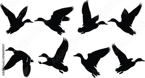 A wide-angle shot of a minimalist modern living room featuring a velvet emerald sofa and natural sunlight streaming through floor-to-ceiling windows