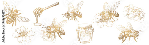 Set of vintage honey bee illustrations in engraving line art style. Hand drawn golden vector insects isolated on white background for logos, packaging, labels and nature design