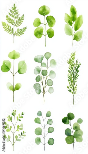 Elegant Botanical Array Featuring Watercolor Greenery, Ferns, and Eucalyptus on White Background