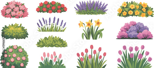 Colorful garden flowers and bushes vector set, blooming decorative plants tulips lavender and shrubs illustration isolated botanical landscape elements collection
