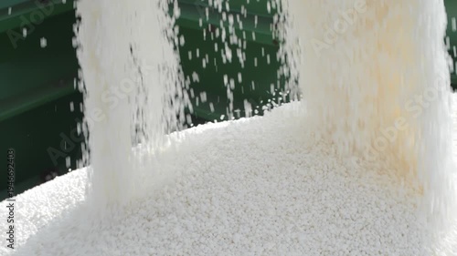 Loading Mineral Fertilizer Into The Hopper Of The Sowing Unit Stock Long Shot