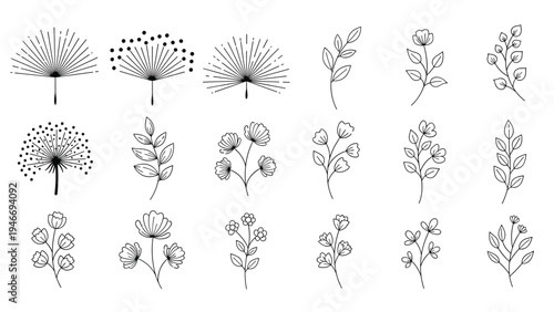Collection of eighteen diverse minimalist black line art icons representing various flowers leaf stems and dandelion seeds.