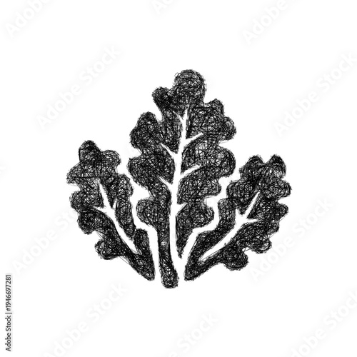 Sketch kale icon design