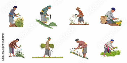 Set of illustrations depicting traditional Asian farmers harvesting rice and grass with hand tools in a rural agricultural setting.