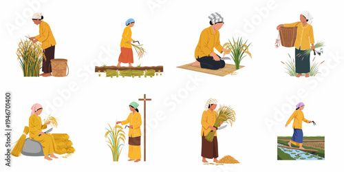 Flat vector illustration set of traditional Asian female farmers harvesting rice in paddy fields using sickles and carrying baskets.