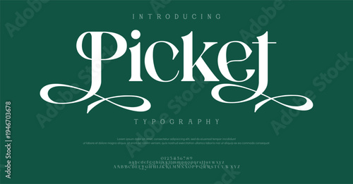 Introducing Picket Typography Font Style