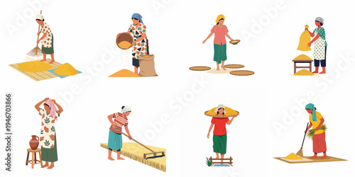 Collection of flat vector illustrations depicting rural South Asian women engaged in various traditional agricultural activities such as harvesting, winnowing, and processing grain.