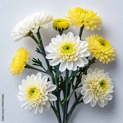 bouquet of daisies