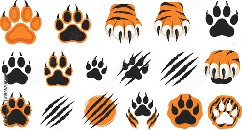 Vector collection of tiger paw prints and sharp claw scratch marks featuring wild animal footprints and feline predator tracks in orange and black.