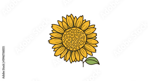 A bright yellow sunflower with green leaf.