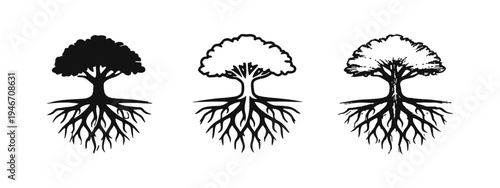 Tree with strong roots icon set. Nature, growth, and foundation symbol. Sustainability and environment flat vector illustration.