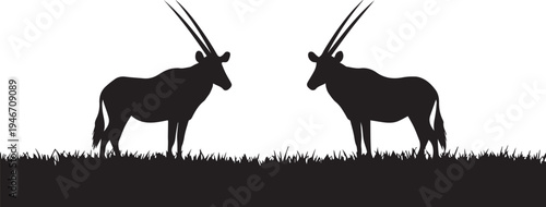 Symmetrical Oryx Silhouettes on Grassland