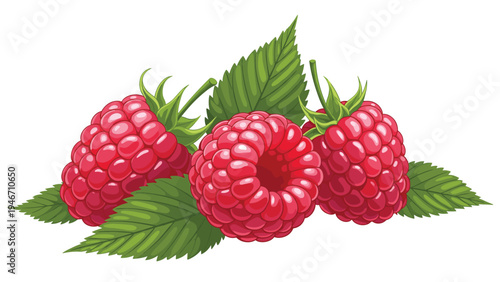 Group of three fresh red raspberries with green leaves isolated on a plain white background for healthy food concepts.