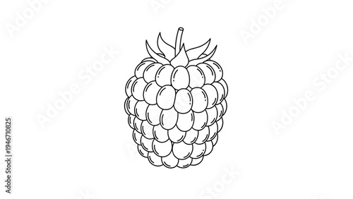 Simple black and white line art drawing of a single ripe raspberry fruit with a small stem isolated on a plain white background.