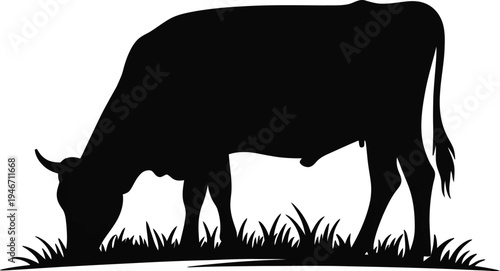 Black silhouette of a cow grazing in grassy field isolated on white background for agriculture or livestock concepts
