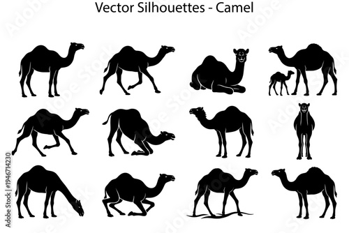 Camel silhouette vector set.  