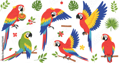 Colorful macaw parrot set with tropical leaves and fruits, exotic rainforest bird collection in different poses vector illustration