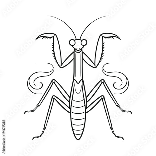 Praying mantis line art illustration with stylized decorative smoke swirls