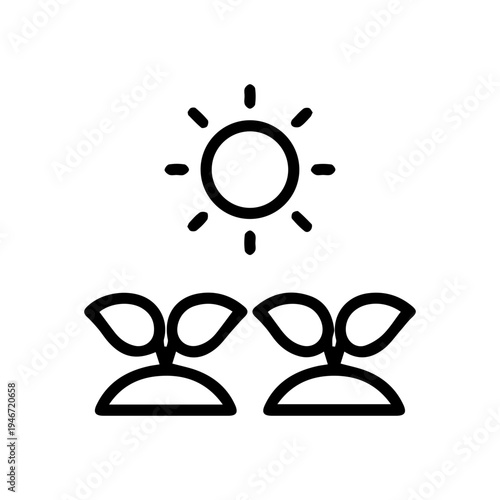 Sunlight on Growing Plants