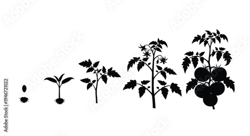 Happy cartoon tooth with toothbrush and bubbles a striking silhouette