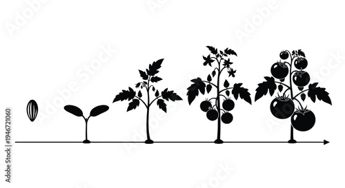 A black and white illustration of an escalator modern design silhouette