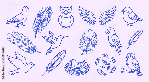 Birds doodle collection with clean outline line drawing. Owl, parrot, hummingbird, pigeon, dove, feathers, wings. Cute avian nature elements for coloring pages wildlife illustration.