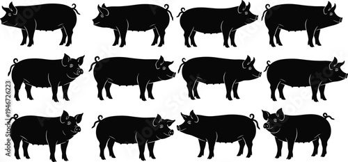 PrintBlack silhouette collection of domestic pigs and swine farm animals standing in various positions isolated on white background