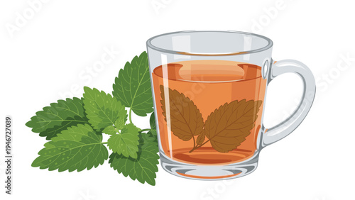 Transparent glass cup of hot amber tea with fresh mint leaves floating inside and some mint sprigs on the side of the cup.