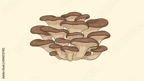 Large cluster of oyster mushrooms shows their flat brown caps and light-colored gills on a pale beige background.